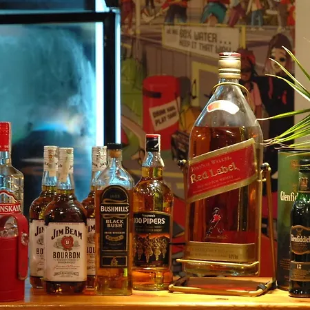 Complex Freya S 오브조르