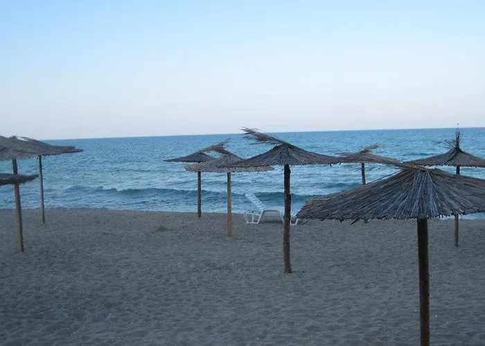 Complex Freya S Обзор