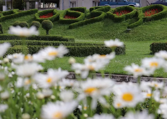 Complex Freya S Обзор